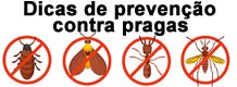 Dicas de prevenção contra pragas